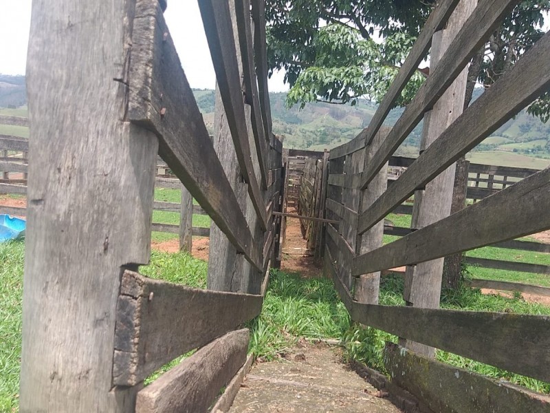 ÁREA RURAL AMPARO