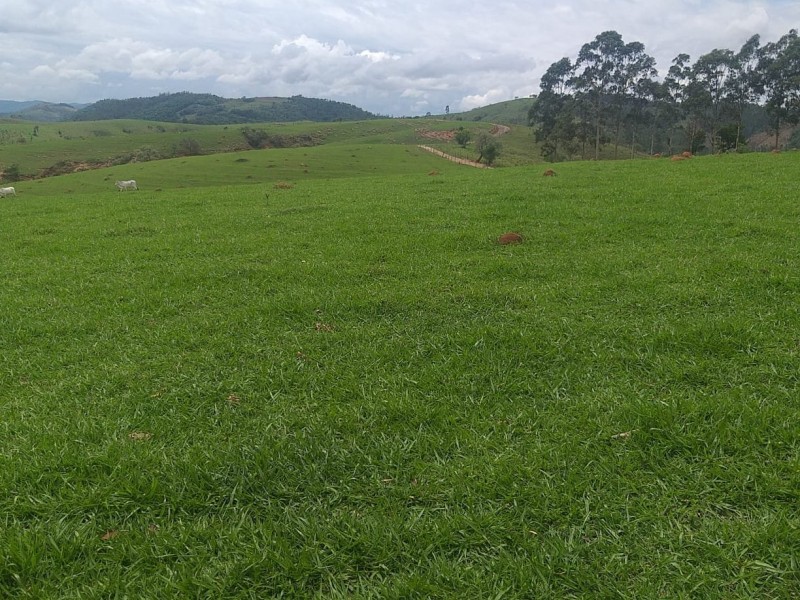 ÁREA RURAL AMPARO
