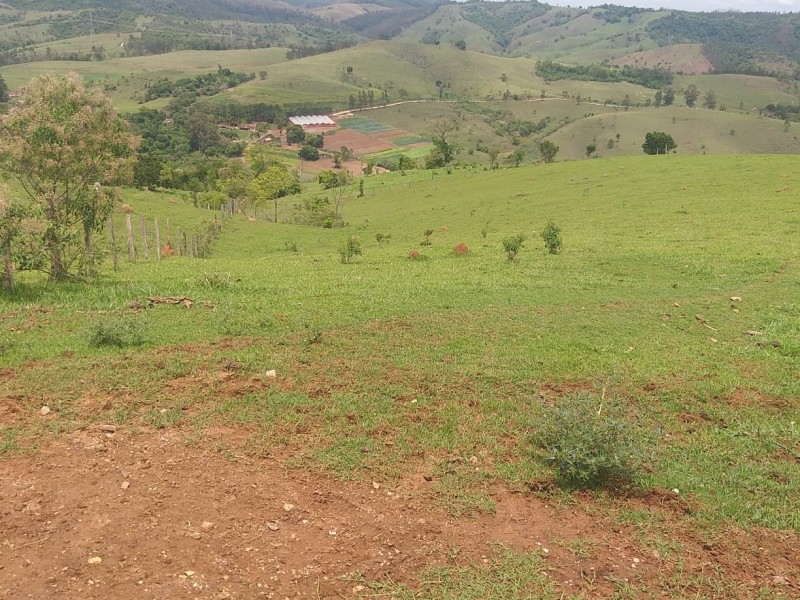 ÁREA RURAL AMPARO