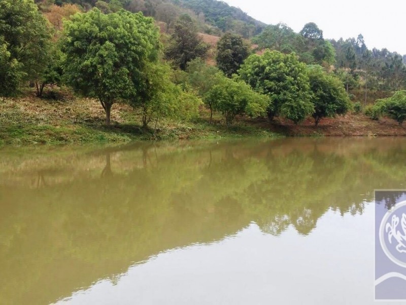 SITIO ALTO DA SERRA
