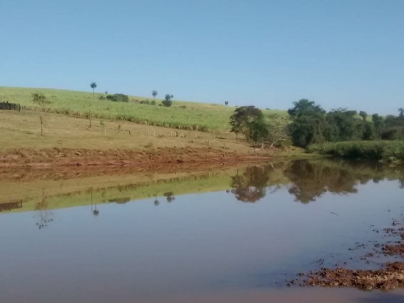 FAZENDA MOGI MIRIM