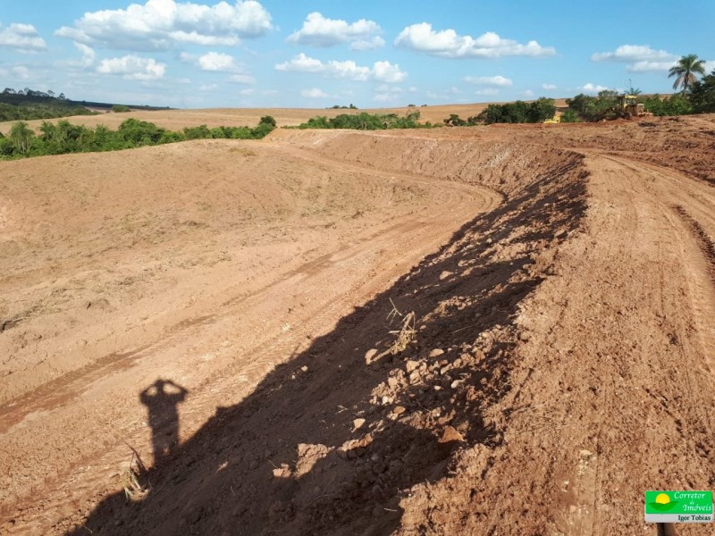 FAZENDA MOGI MIRIM