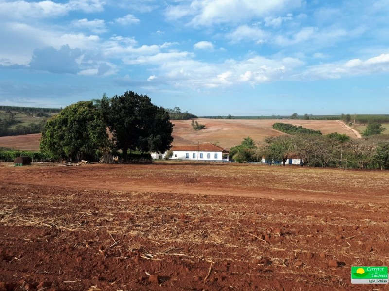 FAZENDA MOGI MIRIM