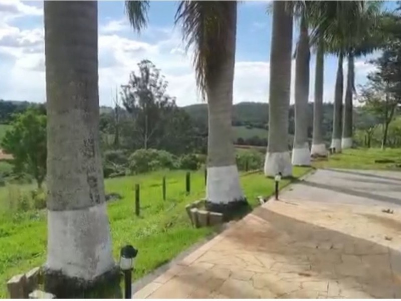 VENDIDO VENDIDO
