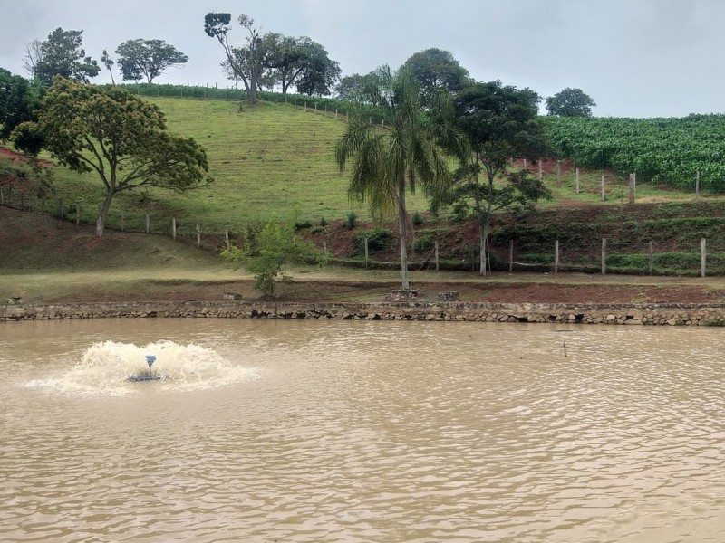 ÁREA COM PRODUÇÃO DE LEITE