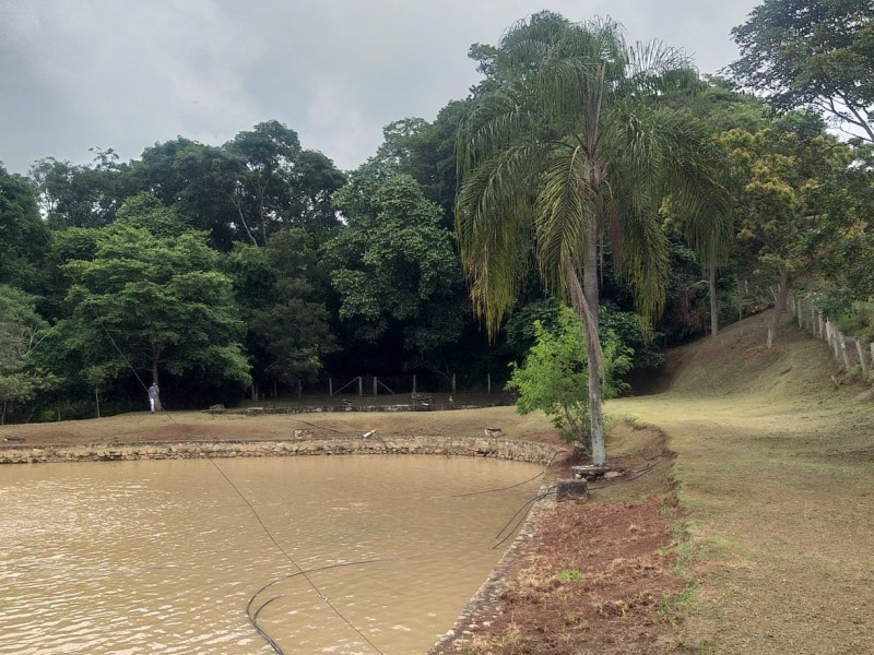ÁREA COM PRODUÇÃO DE LEITE