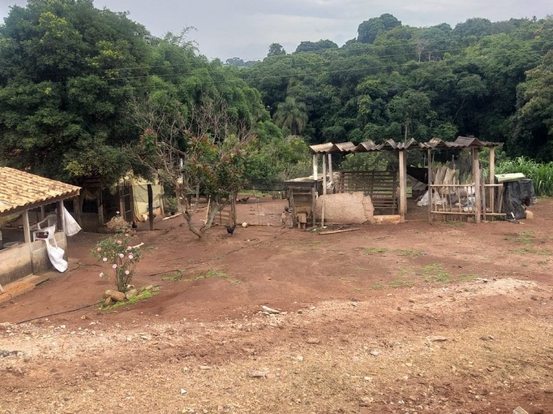ÁREA COM PRODUÇÃO DE LEITE