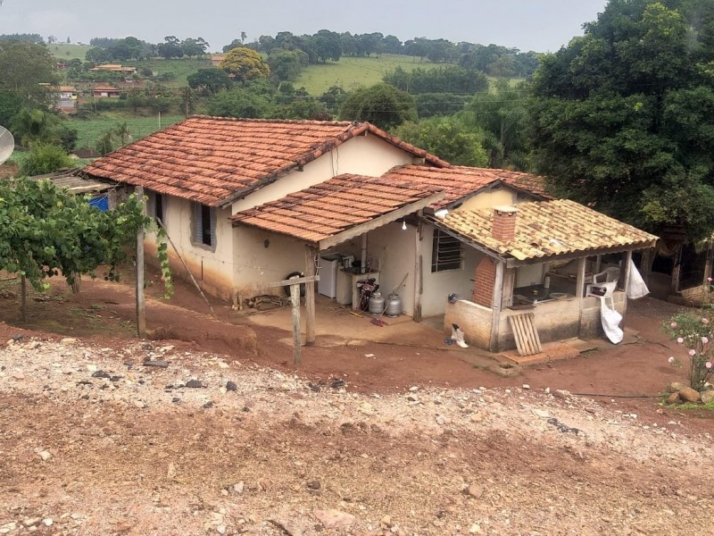 ÁREA COM PRODUÇÃO DE LEITE