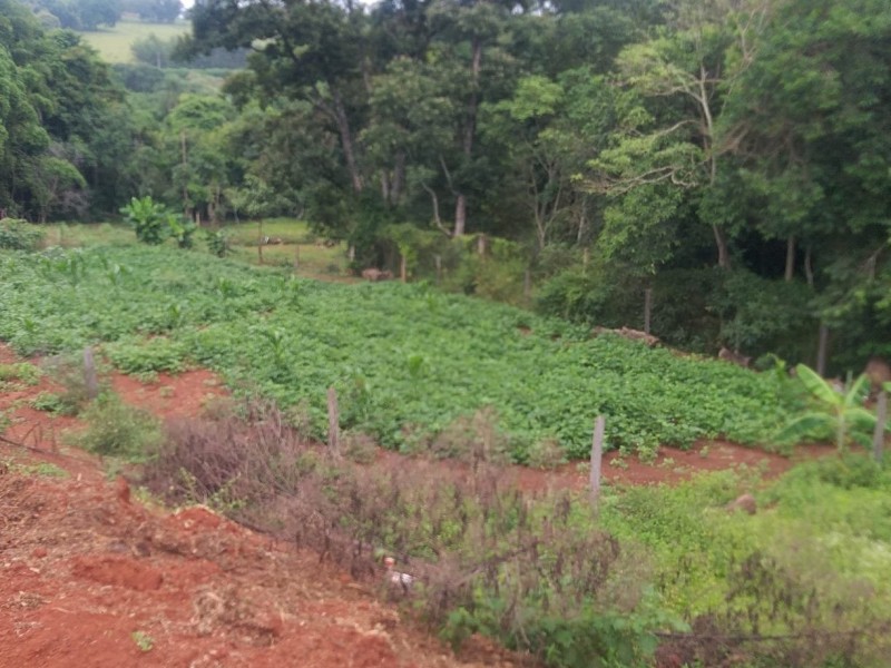 ÁREA COM PRODUÇÃO DE LEITE