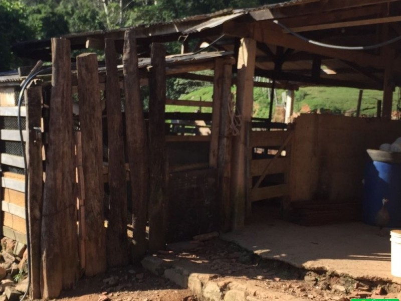 ÁREA NO VEREDA