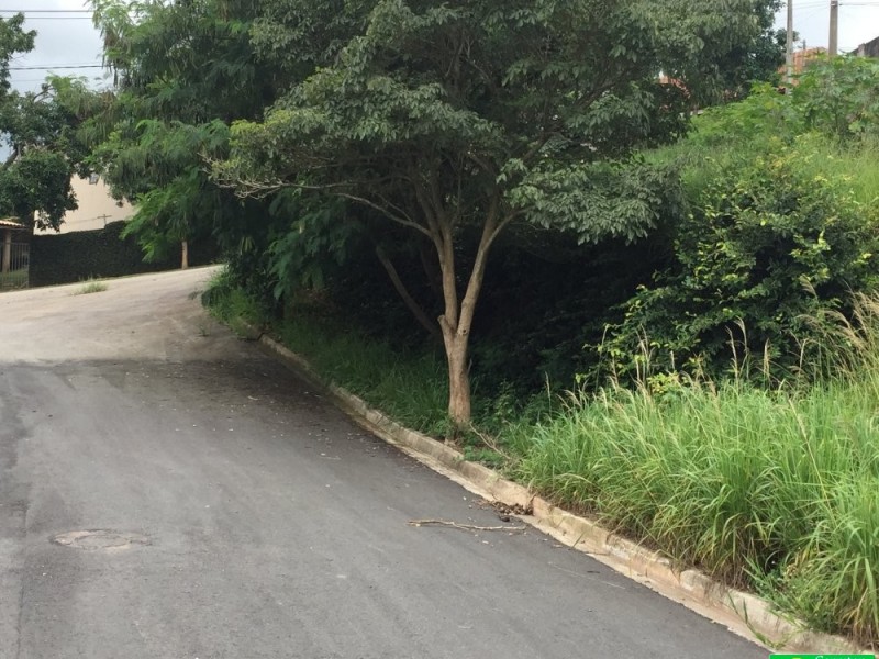 TERRENO PLANO 