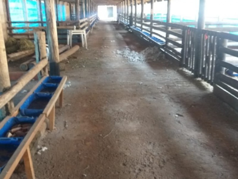 A´REA RURAL CARNEIROS