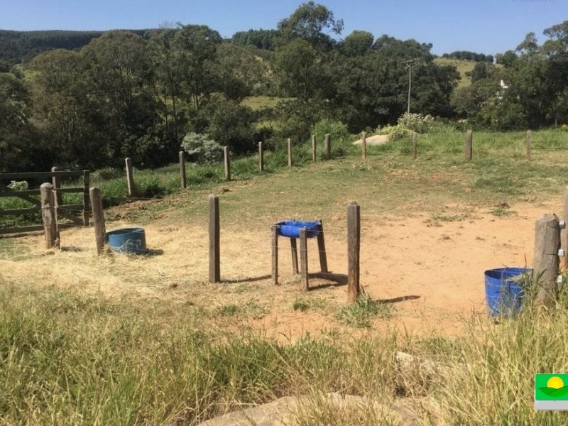 SITIO ENTRE MONTES
