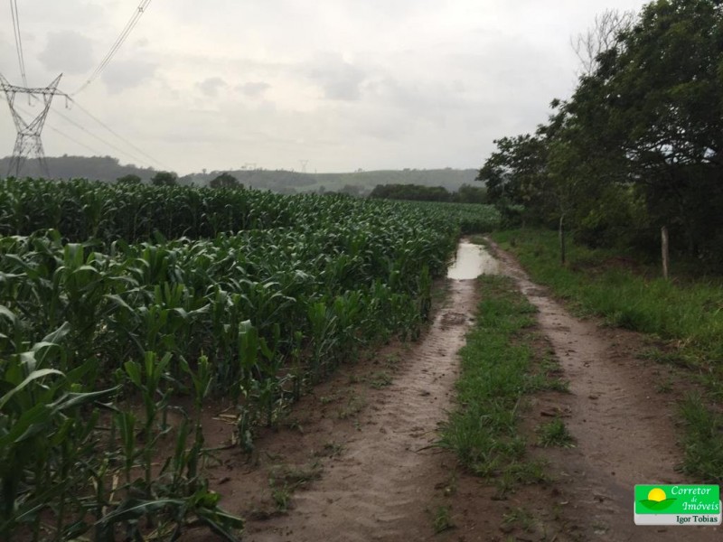 ÁREA C/ POSSIBILIDADE DE PERÍMETRO URBANO