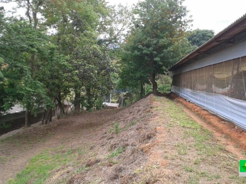 SITIO + GRANJA 