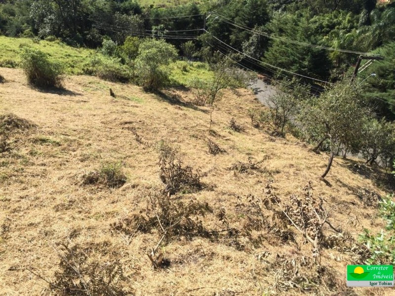 TERRENO P/ CHACARÁ