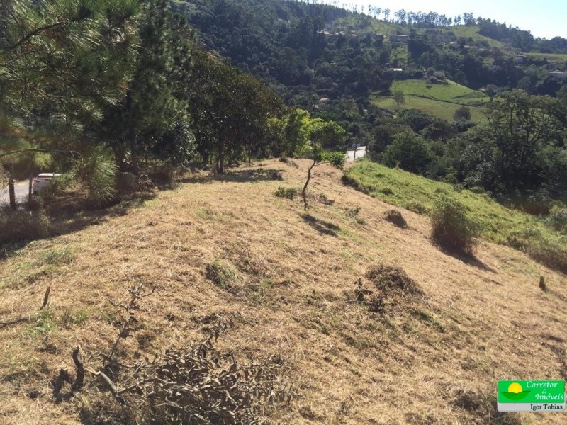 TERRENO P/ CHACARÁ