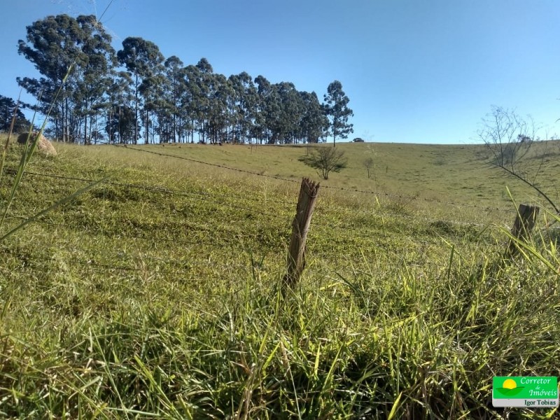 ÁREA P/ CULTIVO BAIRRO ROSAS