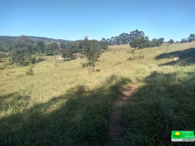 ÁREA P/ CULTIVO BAIRRO ROSAS