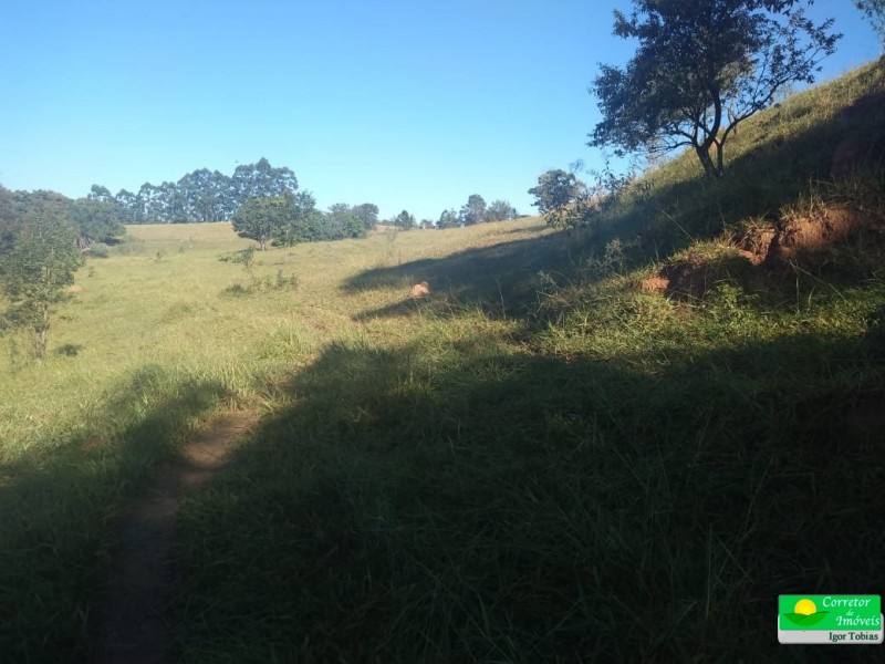 ÁREA P/ CULTIVO BAIRRO ROSAS