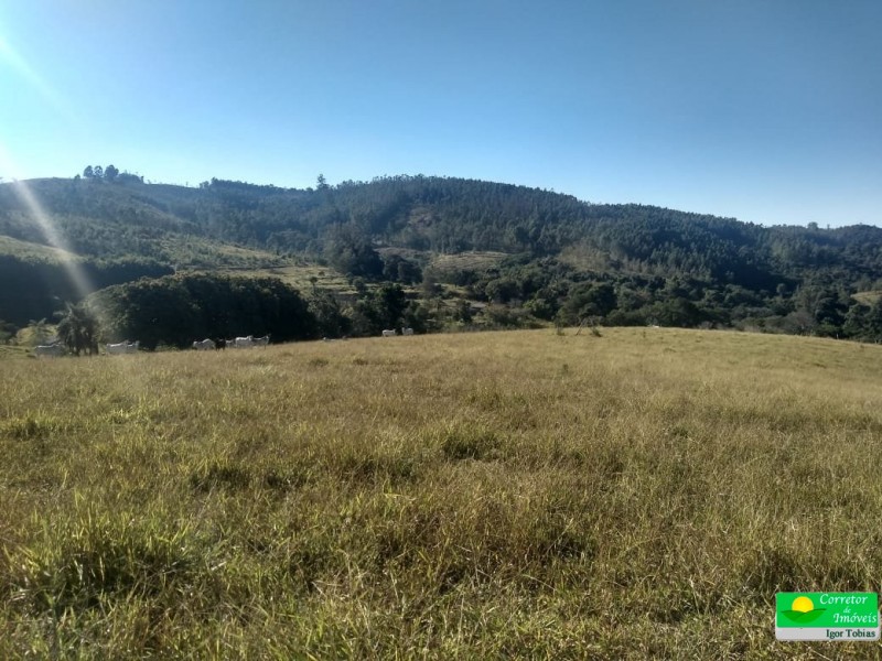 ÁREA P/ CULTIVO BAIRRO ROSAS