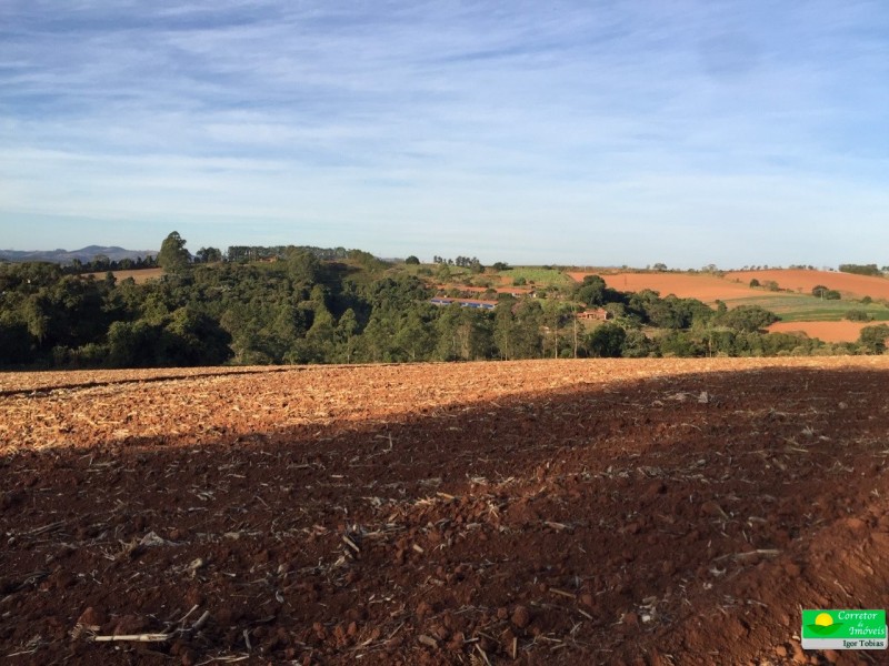 SITIO A 1 KM DA CIDADE