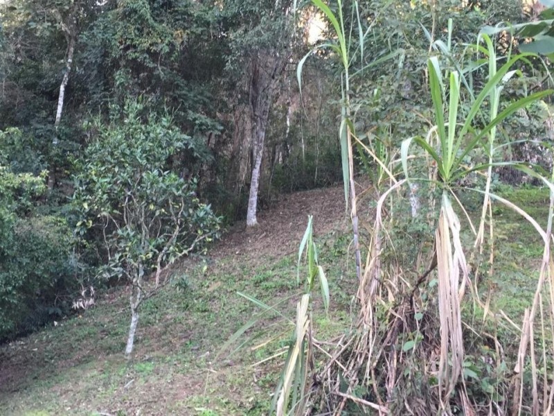 SITIO P/ PESQUEIRO 