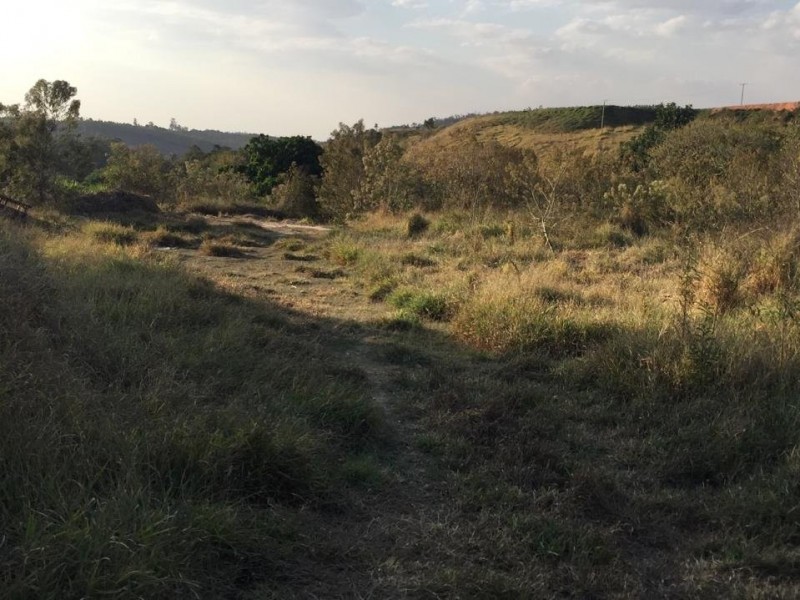 SITIO MARGEIA RODOVIA 