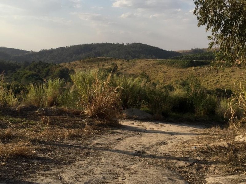 SITIO MARGEIA RODOVIA 