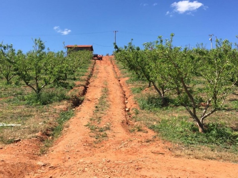 SITIO DOS FIGOS 