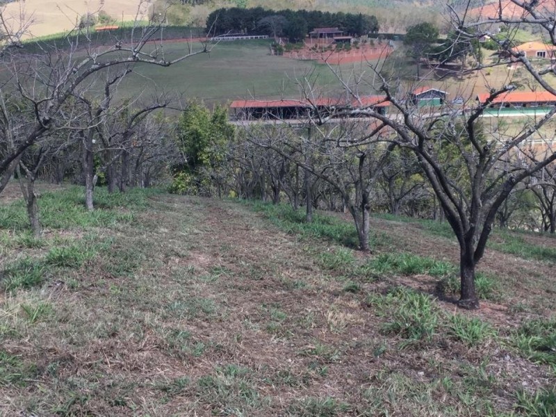 SITIO DOS FIGOS 