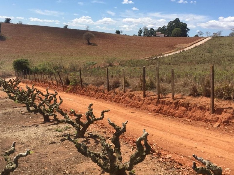 SITIO DOS FIGOS 