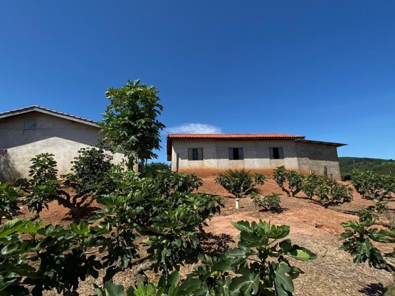 SITIO DOS FIGOS 