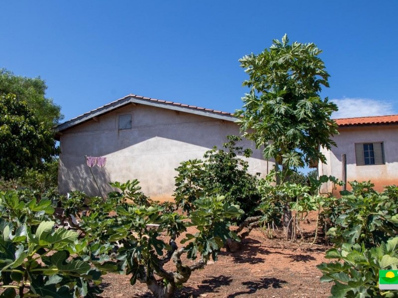 SITIO DOS FIGOS 