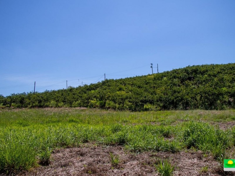 SITIO DOS FIGOS 