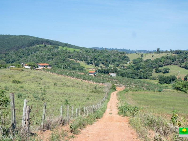 SITIO DOS FIGOS 