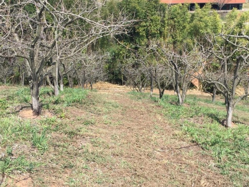 SITIO DOS FIGOS 