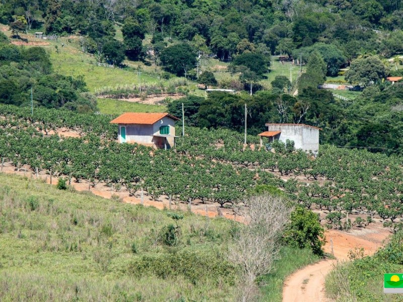 SITIO DOS FIGOS 