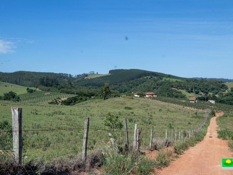 SITIO DOS FIGOS 