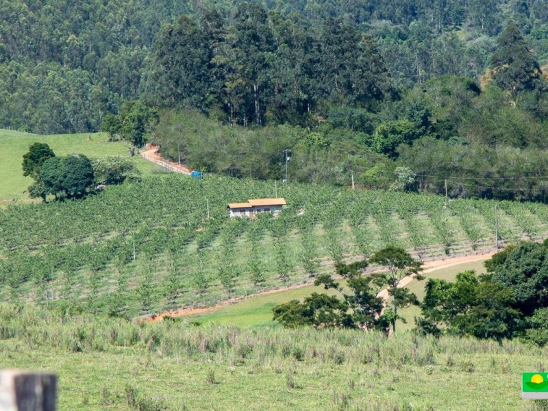 SITIO DOS FIGOS 