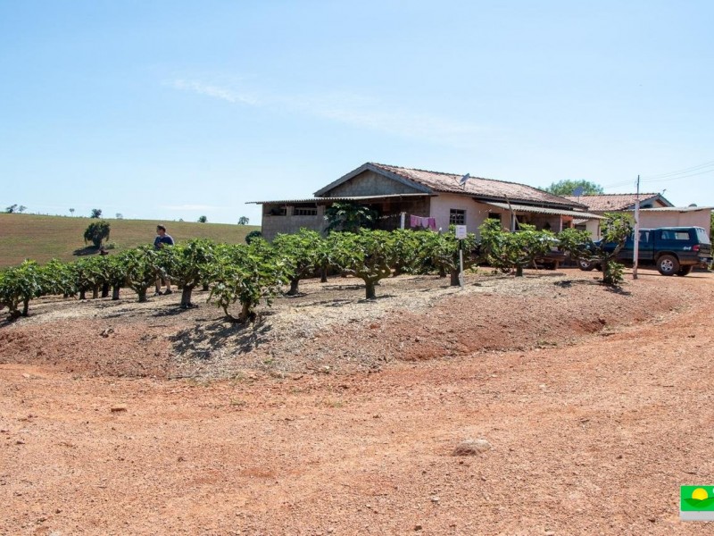 SITIO DOS FIGOS 