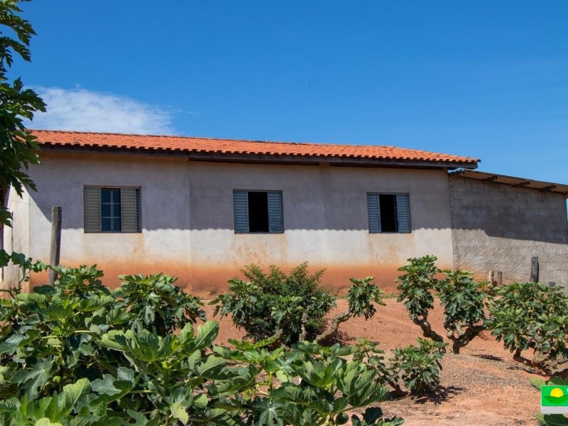 SITIO DOS FIGOS 