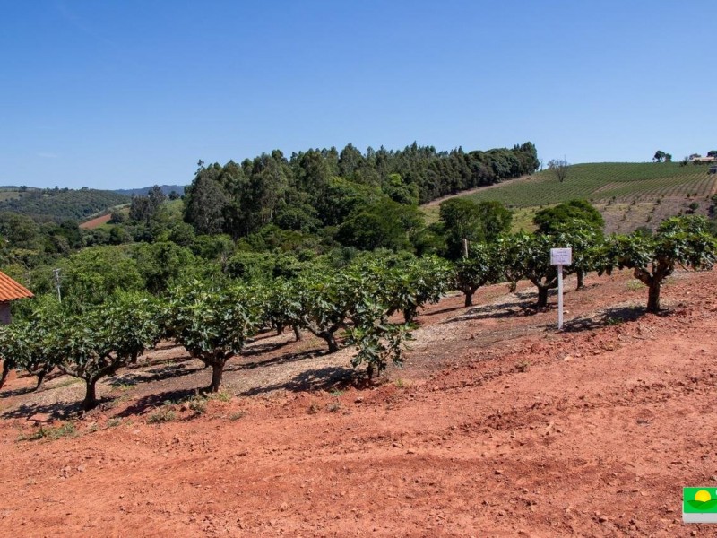 SITIO DOS FIGOS 