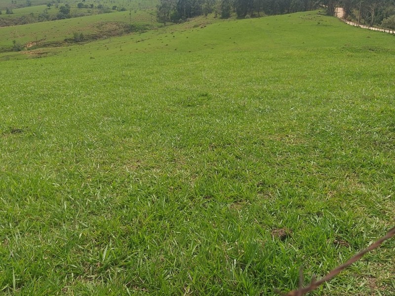 SITIO LINDA PASTAGEM