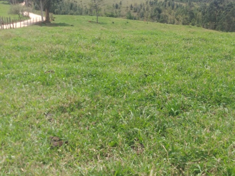 SITIO LINDA PASTAGEM