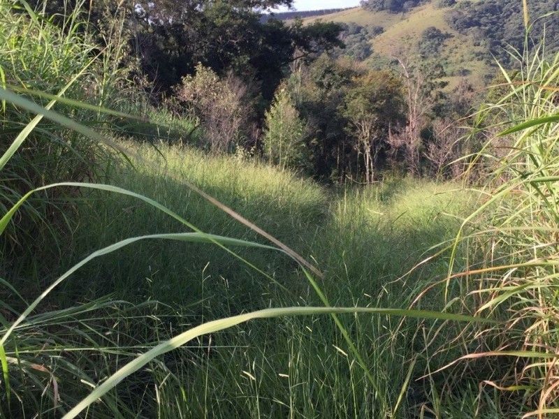 SITIO Á 1KM ASFALTO