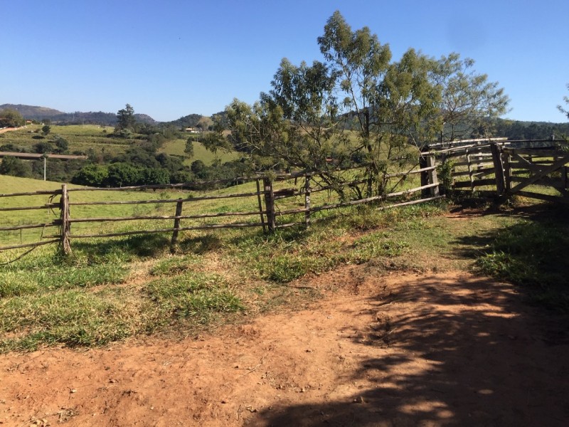 SITIO ÁREA NUA 