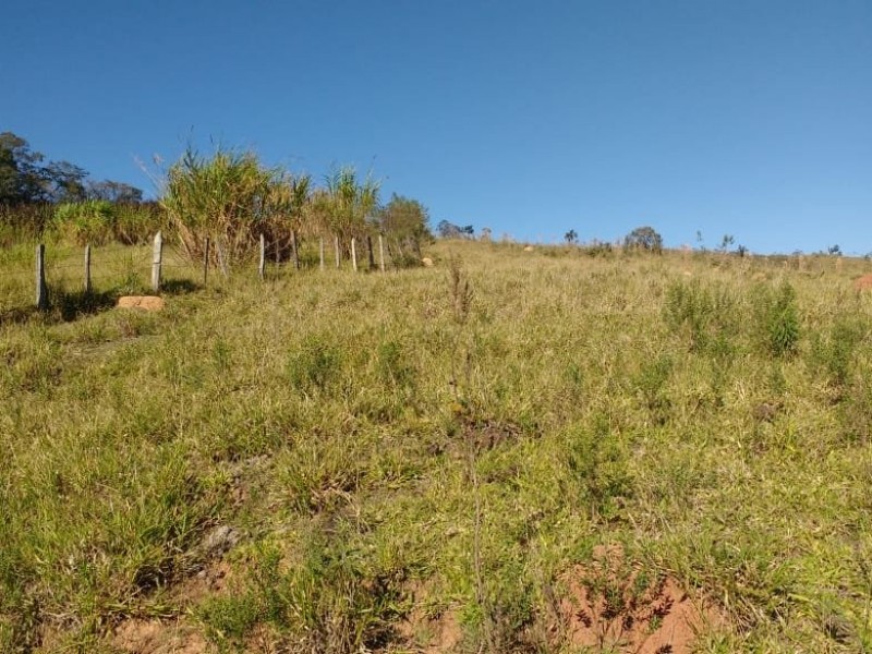SITIO FORMADO EM PASTO