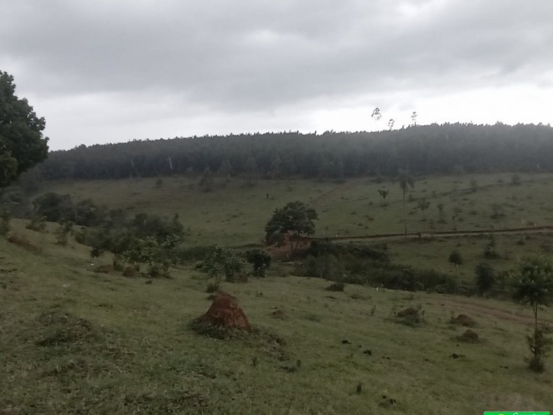 SITIO NOS COCAIS