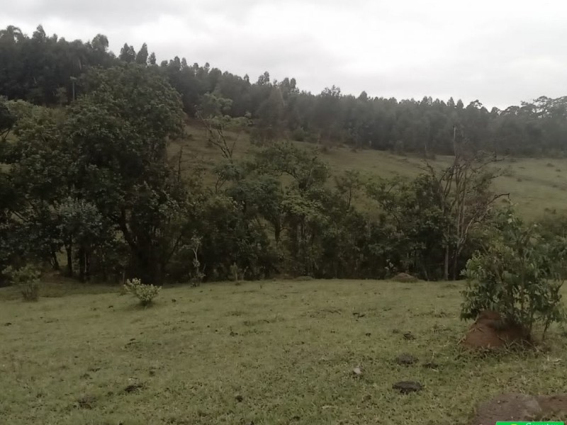 SITIO NOS COCAIS